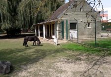 Plaine de jeux et mini ferme