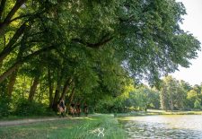 Espace Equestre Henson Chantilly-Apremont