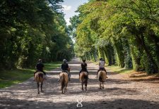 Espace Equestre Henson Chantilly-Apremont